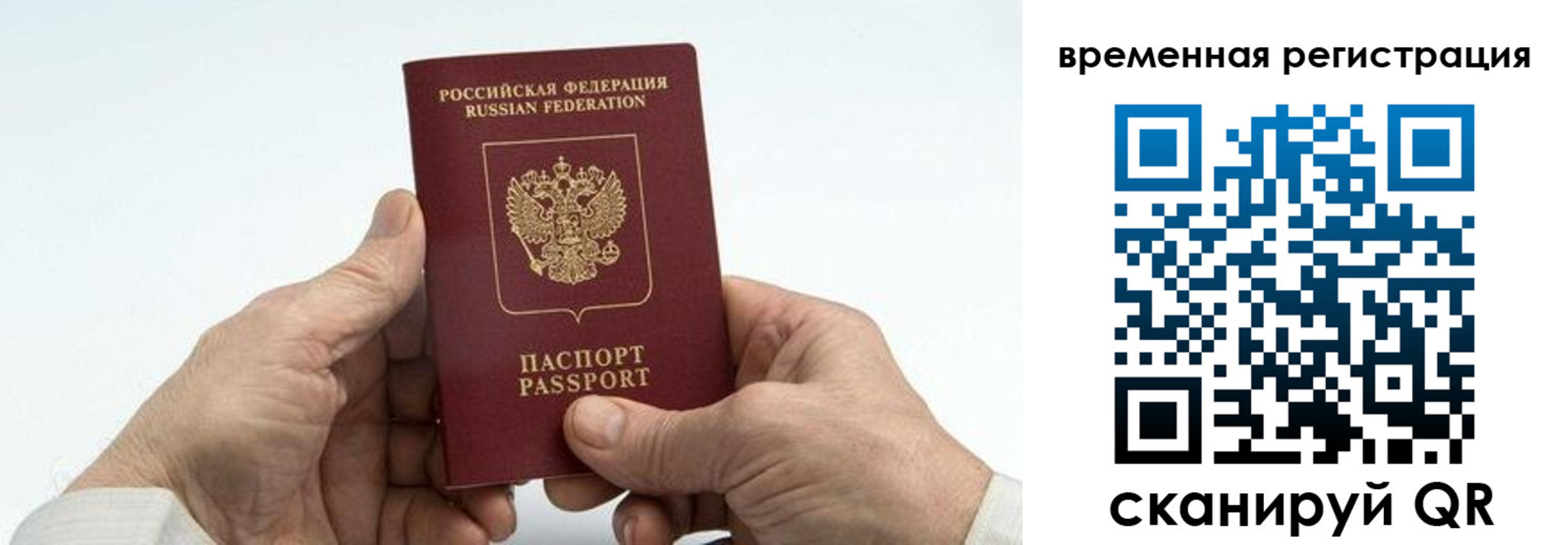 прописка для работы в Пионерском